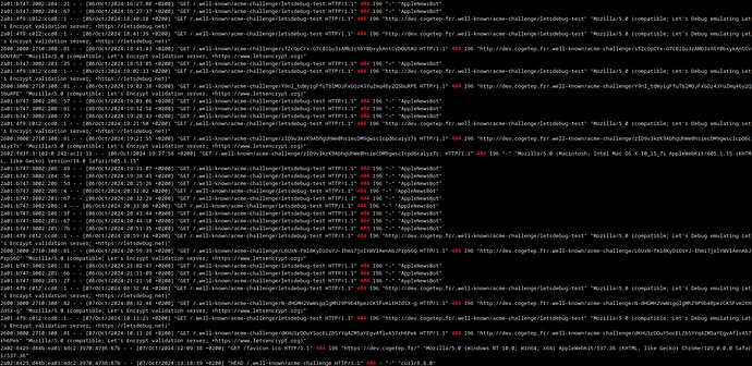 04c access_log_20241007