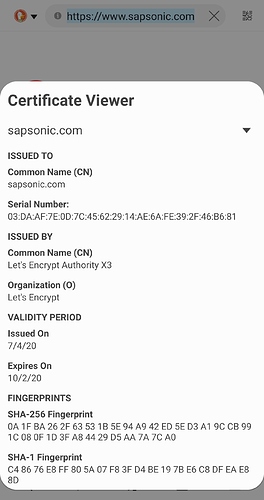 Screenshot_20201010-230947_Samsung Internet