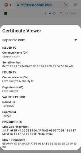 Screenshot_20201011-000652_Samsung Internet