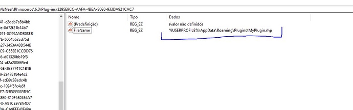 registry path