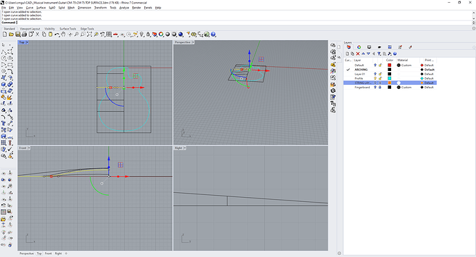 C__Users_cmgui_CAD__Musical Instrument_Guitar_CM-75_CM 75 TOP SURFACE.3dm (176 KB) - Rhino 7 Commercial 7_29_2025 11_38_08 PM