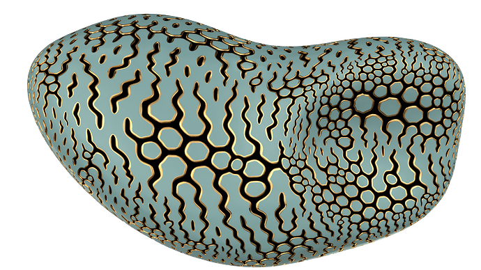 20210112.effectsResult