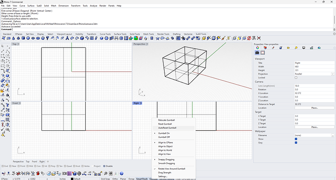 Gumball Resets After Relocating? - Rhino for Windows - McNeel Forum