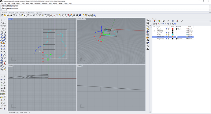 C__Users_cmgui_CAD__Musical Instrument_Guitar_CM-75_CM 75 TOP SURFACE.3dm (176 KB) - Rhino 7 Commercial 7_29_2025 11_38_37 PM