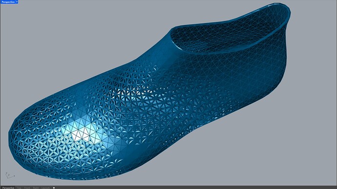 shoePattern2