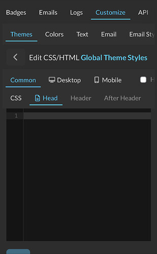 This is a screenshot of a computer interface for a theme editor, specifically for the HTML, CSS, and JavaScript files.  (Captioned by AI)