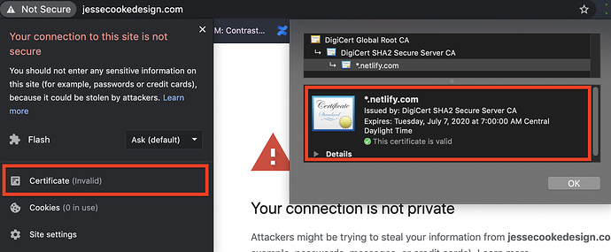 Screen Shot 2020-05-21 at 3.50.26 PM