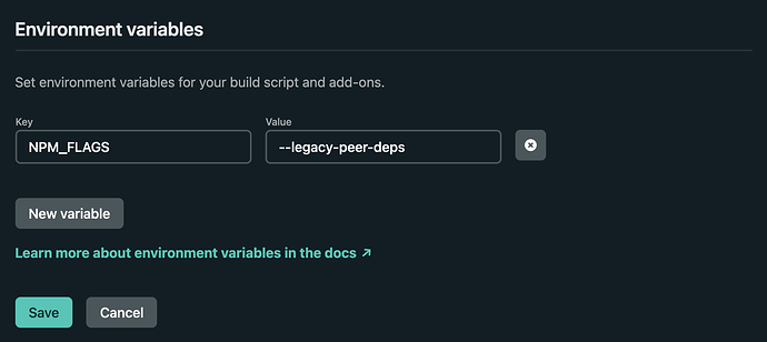 env-var-npm-flags