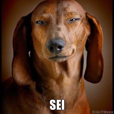 meme-46753--SEI