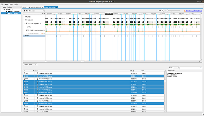 Screenshot nsight bosch file