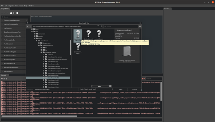 Loading deepstream1 test example in reference graph works