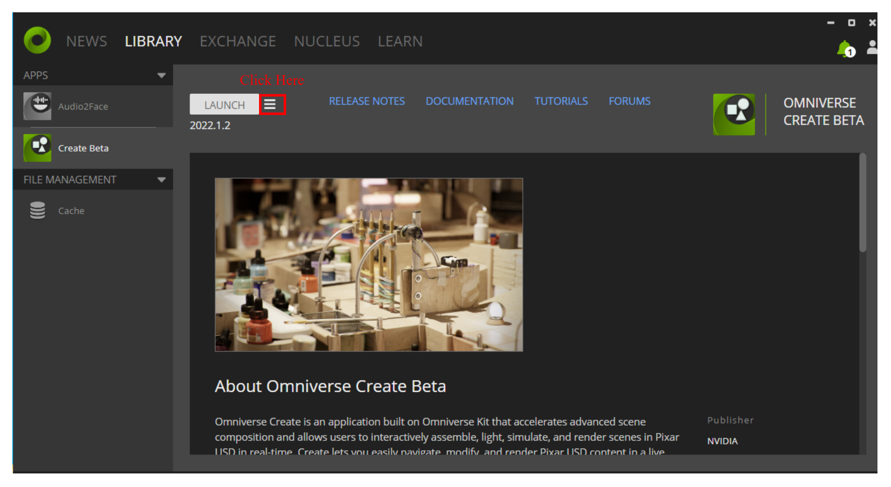 Cannot connect to Nucleuse in SSL/TLS mode through Omniverse
