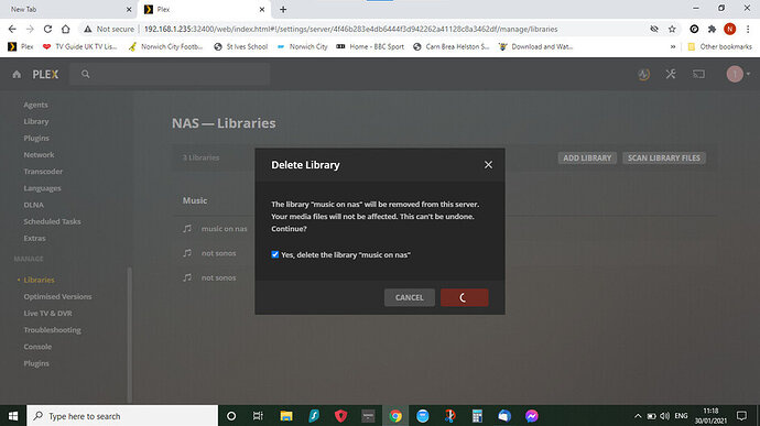 Screenshot 2021-01-30 111831