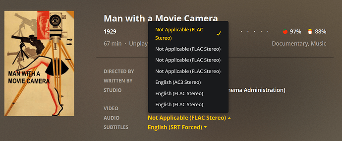 man%20with%20a%20movie%20camera2