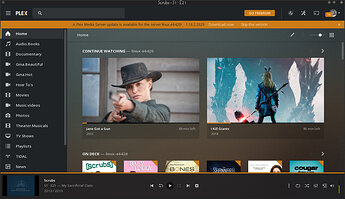 Plex-Media-Server_2019-11-14_new-plex-version-available_but-not-in-repo_1