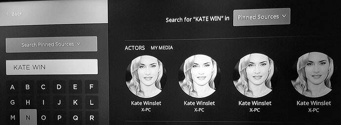 roku preview 6.4.13 search results