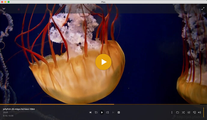 Jellyfish 4Mbit SW