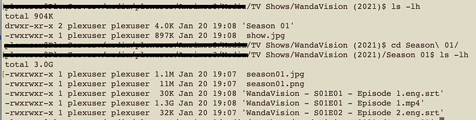 Screen Shot 2021-01-20 at 7.23.52 PM