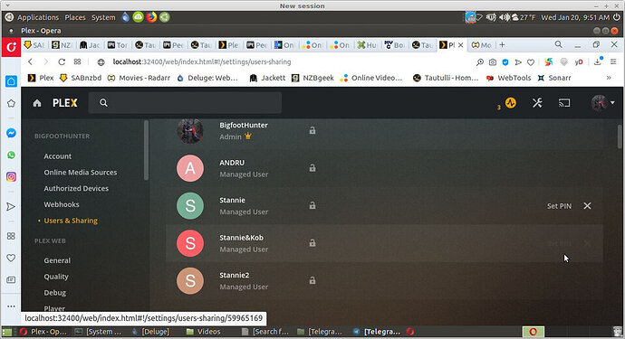 Screenshot at 2021-01-20 09-51-04