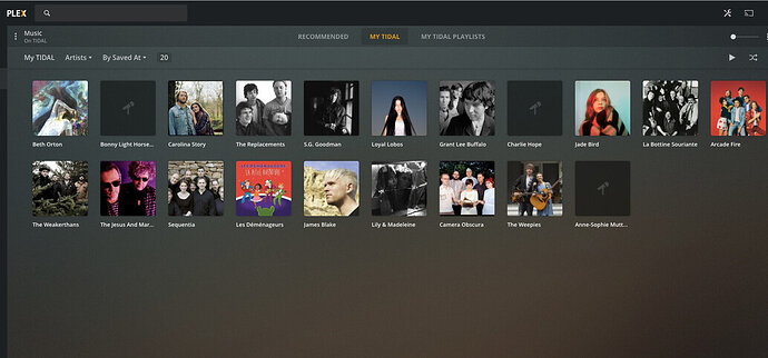 Screen Shot 2021-01-29 at 1.53.36 PM