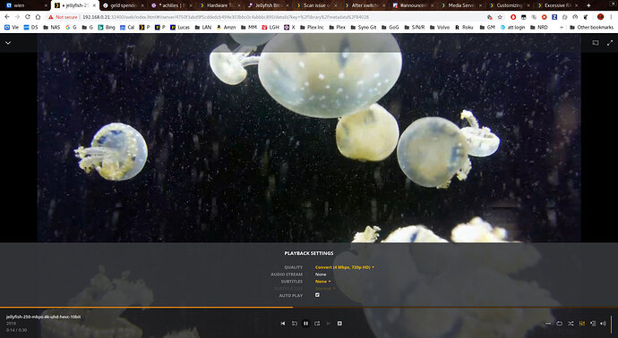 Screenshot%20from%202019-03-24%2020-13-09