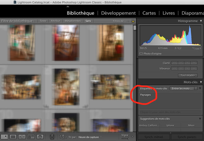 Capture d’ecran - Lightroom