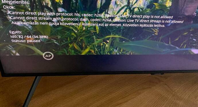 236312673_177647151006502_3237417208357149956_n