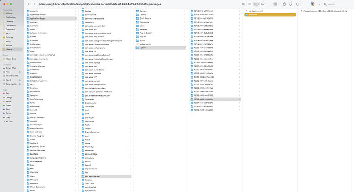 Screen Shot 2021-05-26 at 9.56.10 pm