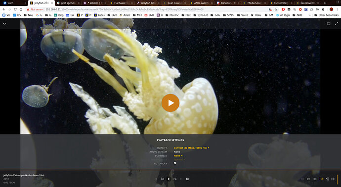 Screenshot%20from%202019-03-24%2020-12-39