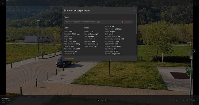 Plex_2020-04-11_10-59-32