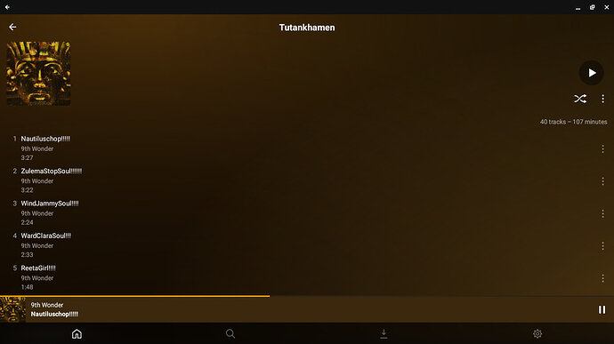 Plexamp Chromebook (2)