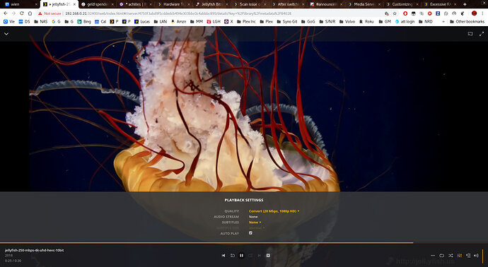 Screenshot%20from%202019-03-24%2020-13-46