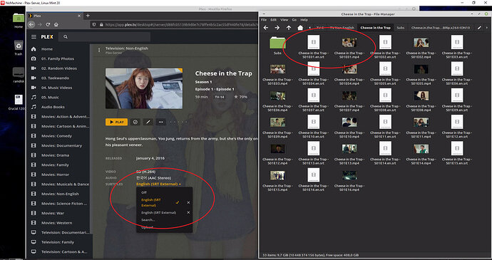 NoMachine - Plex-Server, Linux Mint 20 2020-11-11 17_59_56