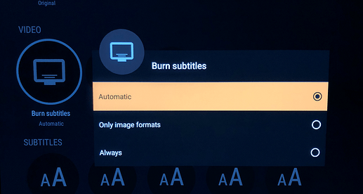 Burn Subs - Copy