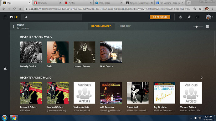Plex screen-Hippler.PNG