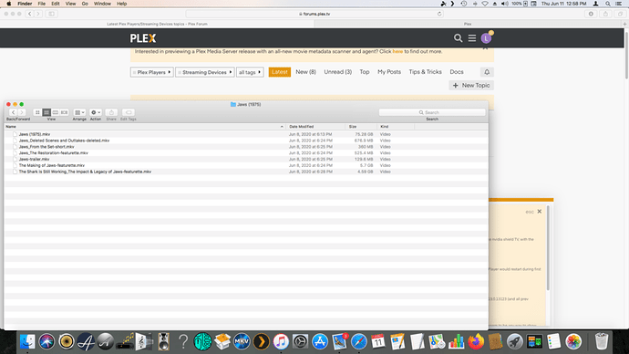 Screen Shot 2020-06-11 at 12.58.58 PM
