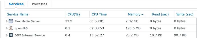 Synology RAM 02