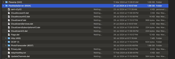 Screenshot 2024-07-31 at 2.41.30 AM