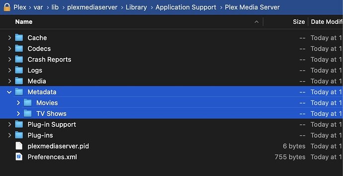 Screen Shot 2021-11-18 at 2.02.13 PM