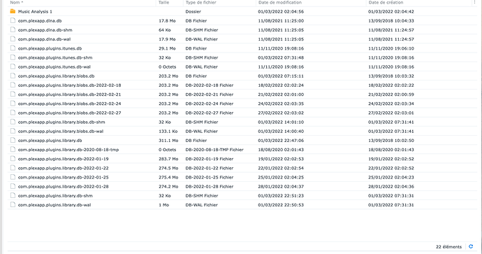 Capture d’écran 2022-03-01 à 22.54.59