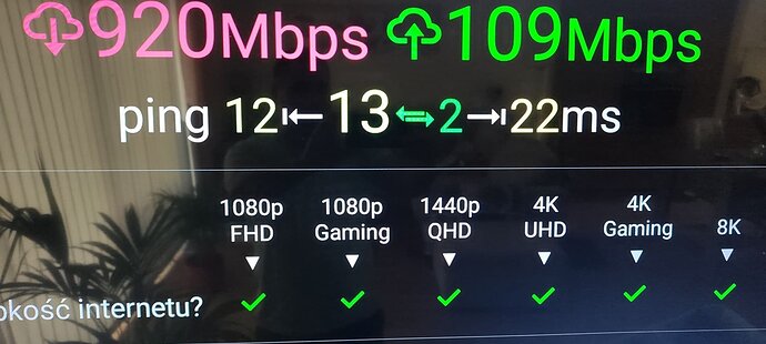 17258044738825453906236991036442