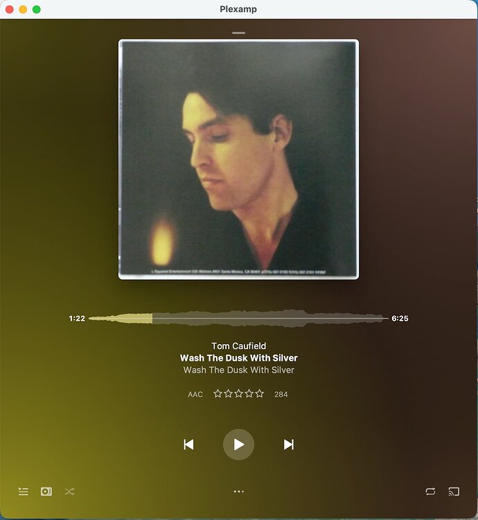 PlexAmp_No_Volume_Slider