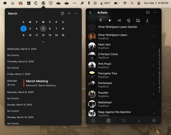 Screenshot 2025-03-02 at 8.56.25 PM
