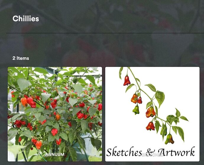 Screenshot 2025-05-30 at 08.34.39