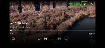 Playback Controls on the new experience mobile app (iOS)