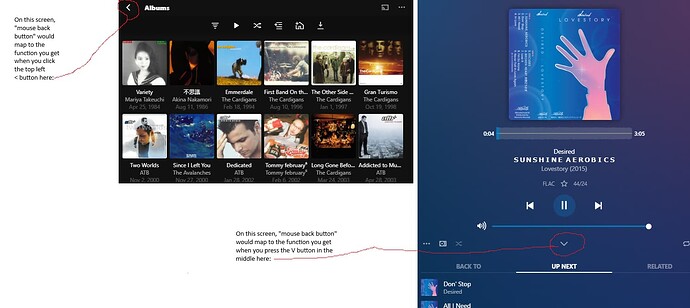 plexamp back examples
