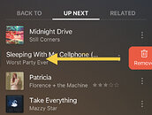 Plexamp Delete From Up Next