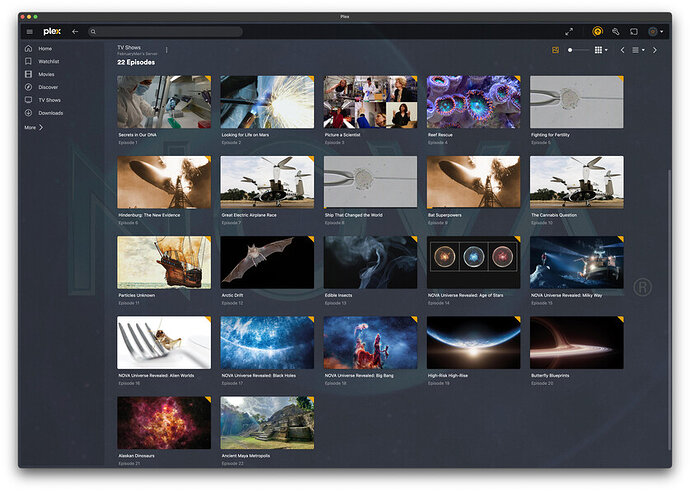 Screen Shot 2023-02-20 at 12.14.59 PM