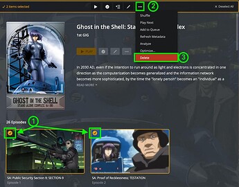 Deleting items from a multi-selection (works for multiple shows, seasons, episodes)