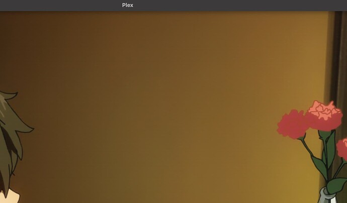 Scene 1, Plex Player